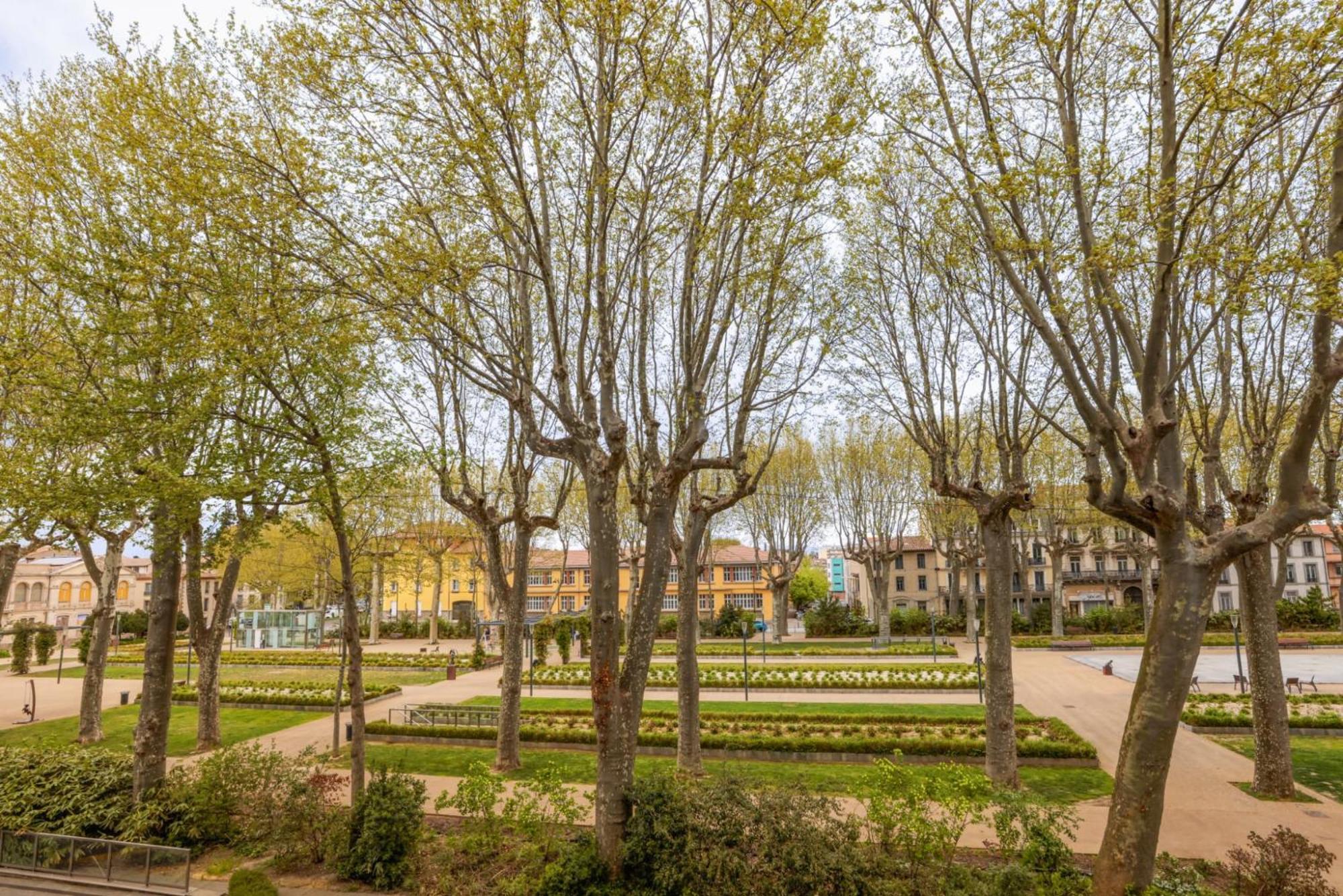 Apartmán L'Art De Gambetta Conciergeriedamecarcas Carcassonne Exteriér fotografie